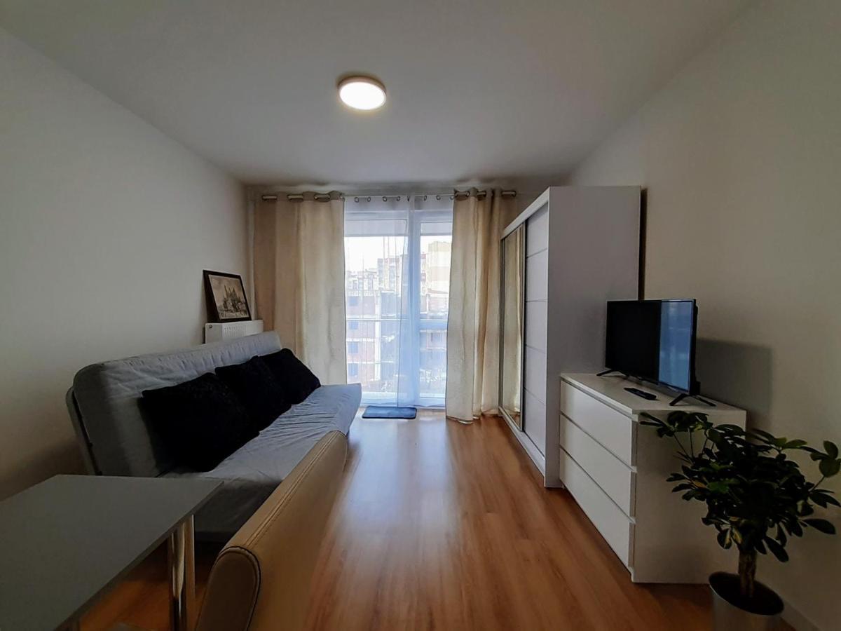 Apartament Rogowska *
